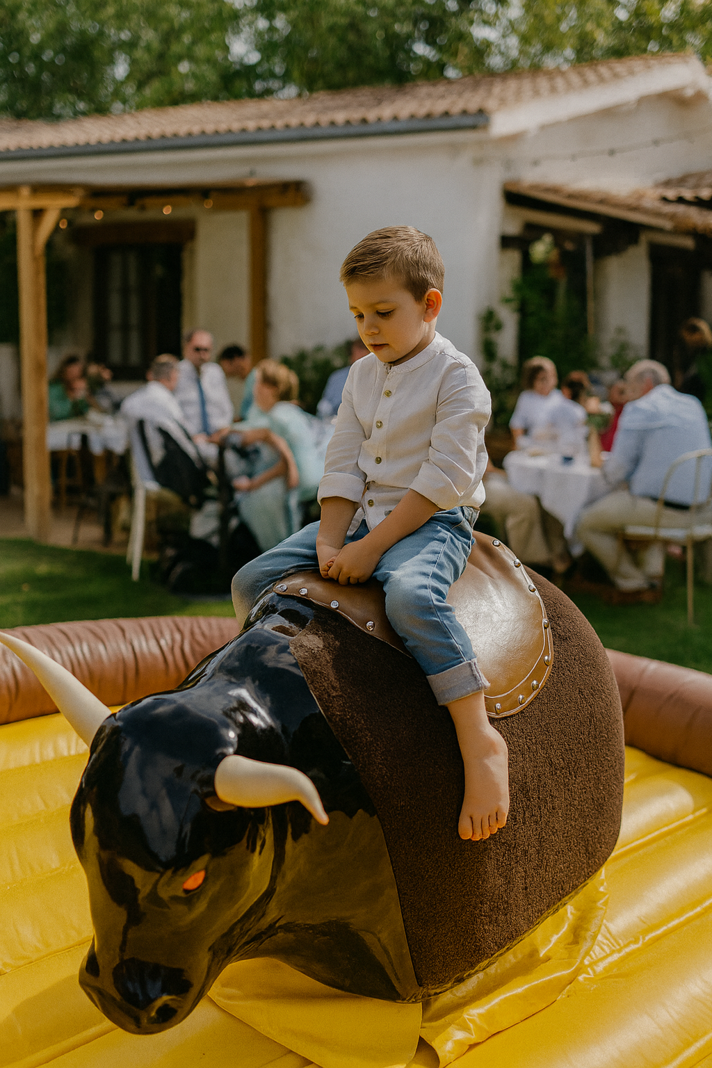 servicio toro mecanico