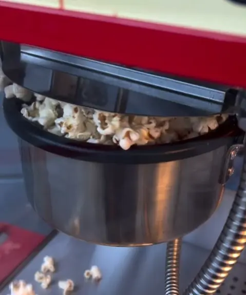 palomitas 2.webp