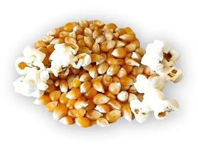 [VENT_MAIZ_5KG] MAÍZ PARA PALOMITAS 5kg